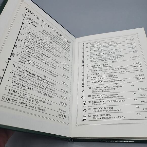 The Celtic Tree Oracle System of Divination First US Edition Hardcover - Picture 4 of 16